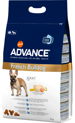 Advance Dog Bulldog Francês - Descontinuado