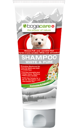 Bogacare Bio Champô White & Pure Cão