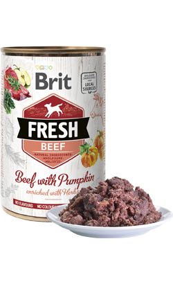 Brit Fresh Dog Beef with Pumpkin | Wet (Lata)