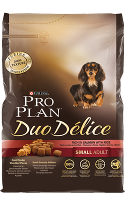 Duo Delice Adult Small | Salmão - DESCONTINUADO