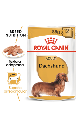 Royal Canin Dog Dachshund Adult | Wet (Saqueta)