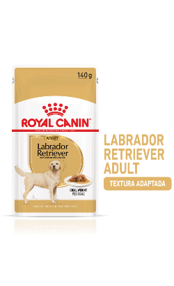 Royal Canin Dog Labrador Retriever Adult | Wet (saqueta)