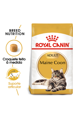 Royal Canin Cat Maine Coon Adult